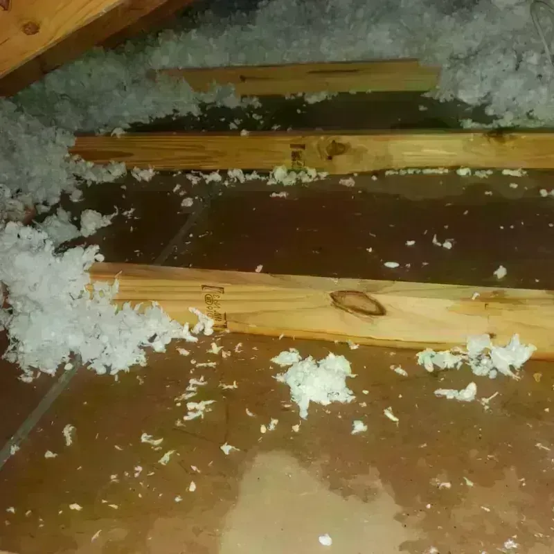 Attic Water Damage in Youngstown, FL