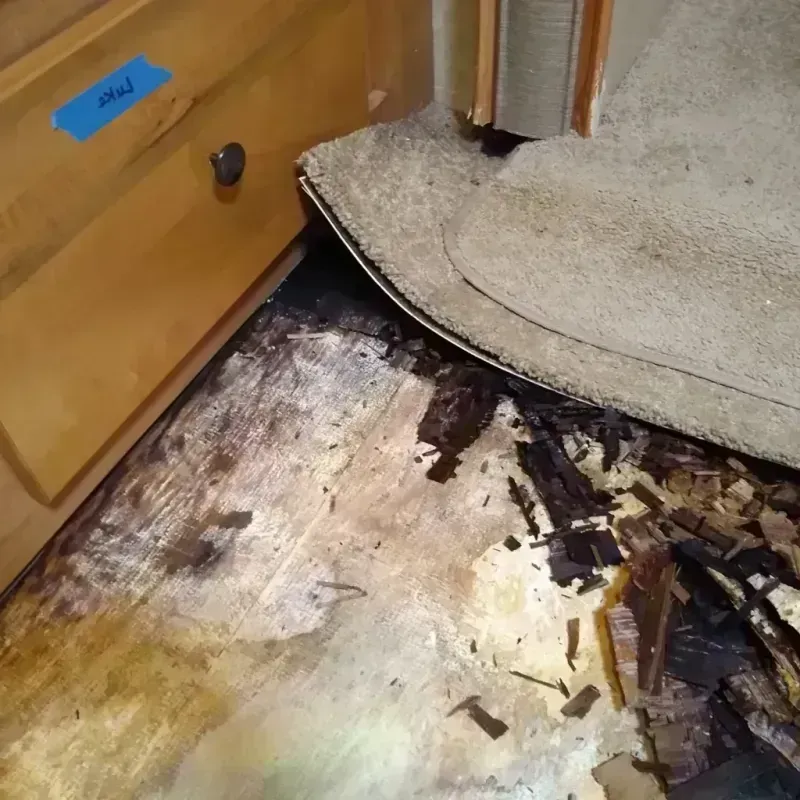 Wood Floor Water Damage in Youngstown, FL